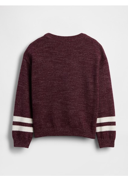 Erkek Bebek Bordo Bisiklet Yaka Kazak fiyatları