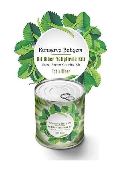buffer® konserve bahçem evde konservede tatlı sivri biber yetiştirme kiti