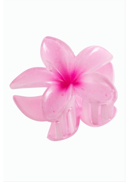 Lotus Toka 8 cm fiyatları