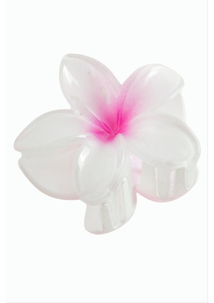 Lotus Toka 8 cm indirimleri