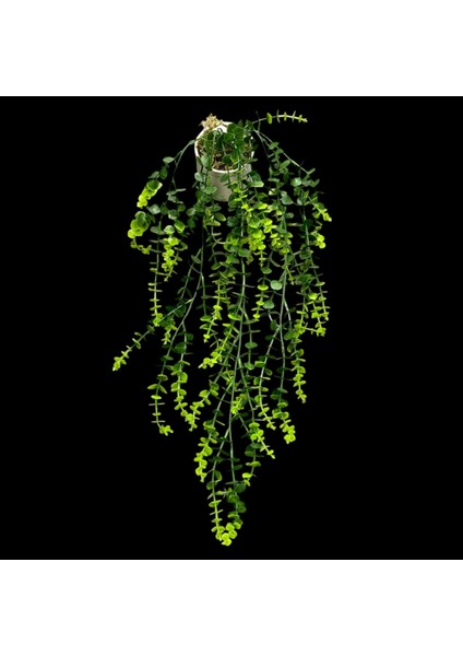 Porselen Saksılı Sarkan Okaliptus Çiçeği 1dmt fiyatları