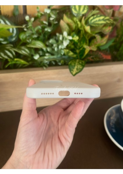 iPhone (16 Plus) Uyumlu Magguard Magsafe Destekli Silikon Kılıf modelleri