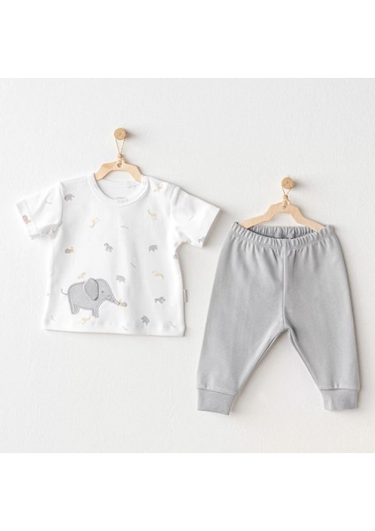 Andywawa AC25809 Little King 2'li Takım Grey