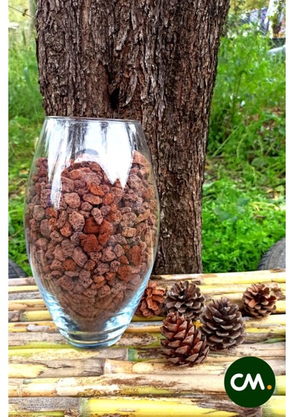 3 kg Pomza Taşı 1 - 2 cm Dekoratif Bahçe Saksı Teraryum Taşı fiyatları