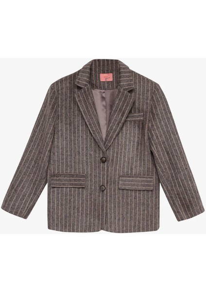 Çizgili Kaşe Vizon Kadın Blazer Ceket CKT01197 fiyatları