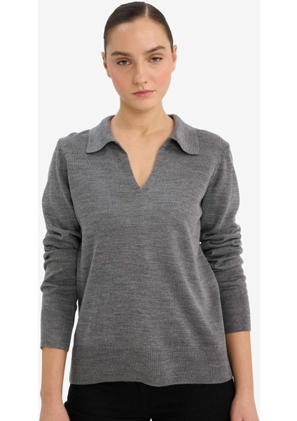 Regular Fit Polo Yaka Triko Kazak F0405AX25WN