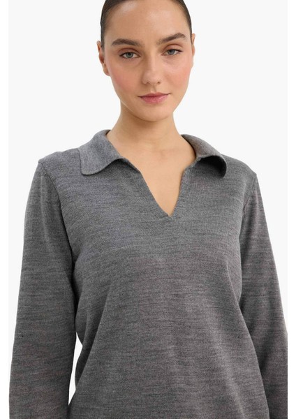 Regular Fit Polo Yaka Triko Kazak F0405AX25WN modelleri