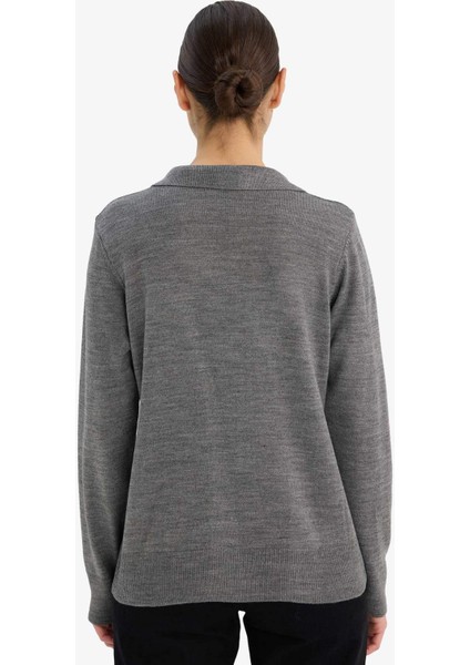 Regular Fit Polo Yaka Triko Kazak F0405AX25WN indirimleri