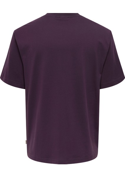 O Yaka Baskılı Vişne Erkek T-Shirt Onscurated Rlx Prınt Ss Tee Noos fiyatları