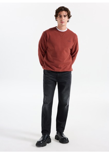 Bisiklet Yaka Kızıl Kahve Erkek Sweatshırt 12283399_JPRCCMATEO Sweat Crew Neck fiyatları