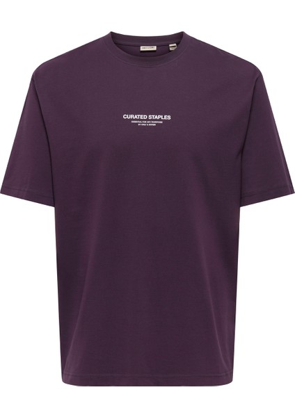 O Yaka Baskılı Vişne Erkek T-Shirt Onscurated Rlx Prınt Ss Tee Noos