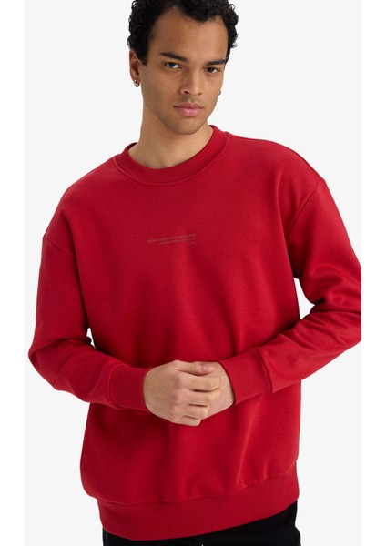 Boxy Fit Bisiklet Yaka İçi Yumuşak Tüylü Baskılı Sweatshirt X8282AZ25AU modelleri