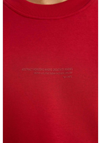 Boxy Fit Bisiklet Yaka İçi Yumuşak Tüylü Baskılı Sweatshirt X8282AZ25AU fırsatları