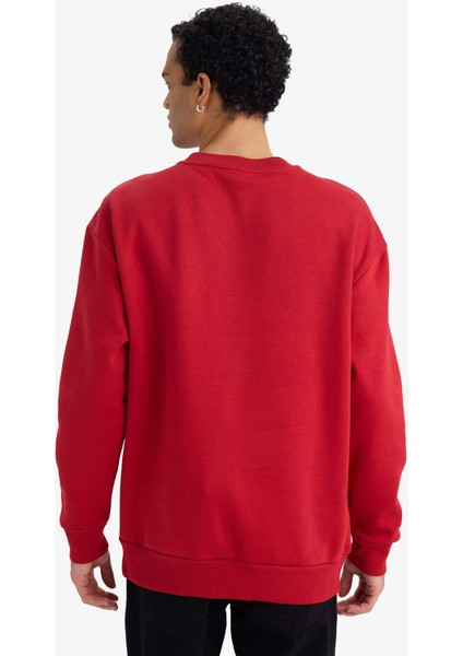 Boxy Fit Bisiklet Yaka İçi Yumuşak Tüylü Baskılı Sweatshirt X8282AZ25AU indirimleri