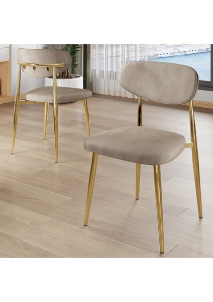 Olya Serisi 90X168 Lak Panel Beyaz Mermer Desen Masa Takımı Gold Ayaklı 6 Sandalye fırsatları