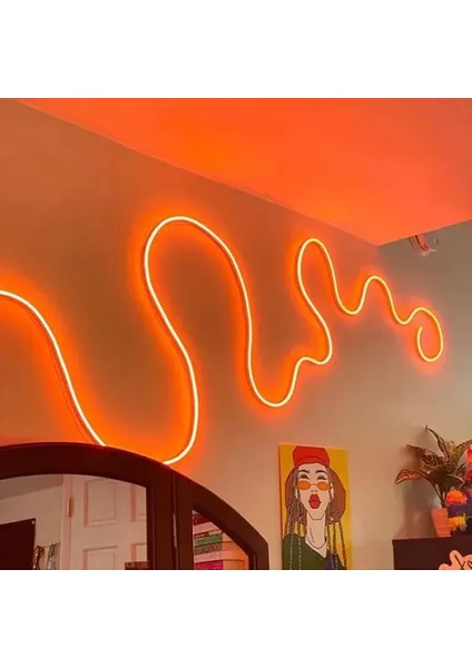 5m 16 Renk 4 Fonksiyonlu Esnek Şerit Neon LED fiyatları