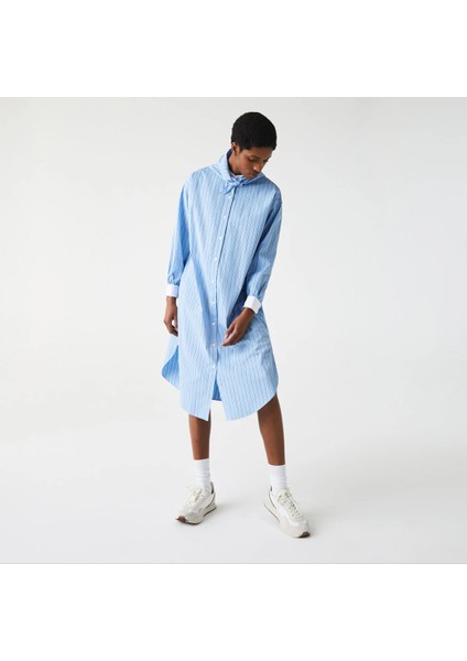 L!ve Kadın Uzun Kollu Gömlek Yaka Çizgili Mavi - Beyaz Elbise