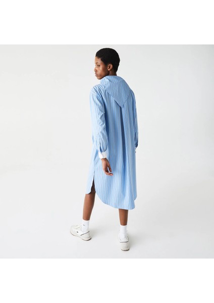 L!ve Kadın Uzun Kollu Gömlek Yaka Çizgili Mavi - Beyaz Elbise fiyatları