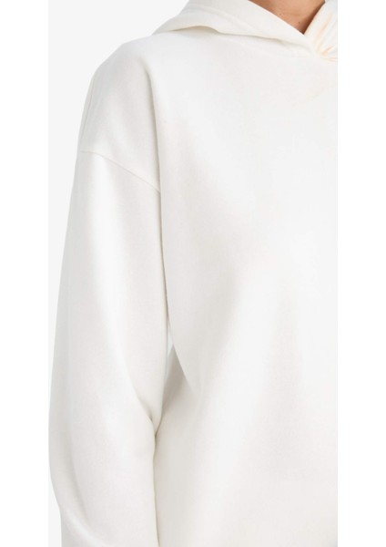 Relax Fit Kapüşonlu Basic Düz Kalın Sweatshirt D9935AX25WN