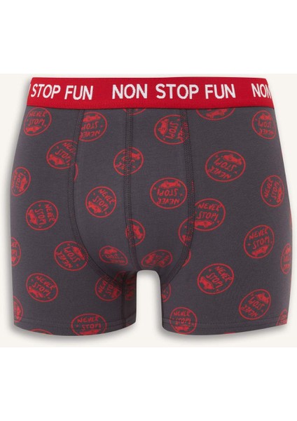 Regular Fit Desenli 3'lü Boxer B4782AX25AU