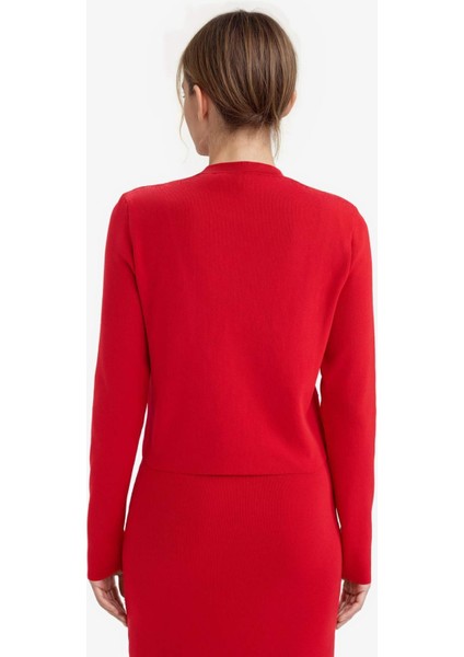 Regular Fit Bisiklet Yaka Triko Hırka F7778AX25WN