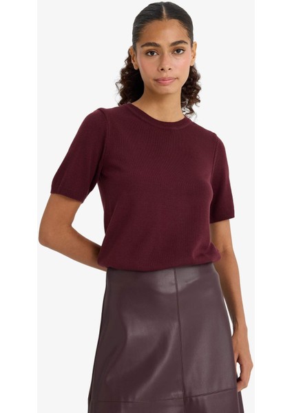 Regular Fit Bisiklet Yaka Kısa Kollu Triko Kazak