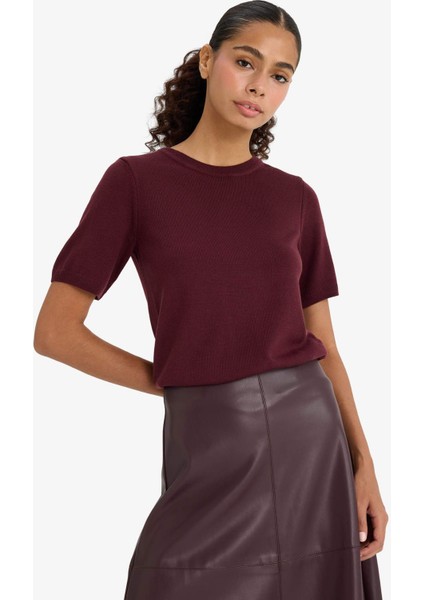 Regular Fit Bisiklet Yaka Kısa Kollu Triko Kazak