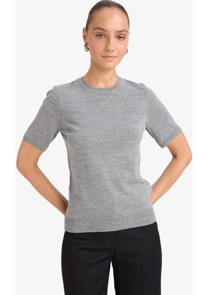 Regular Fit Bisiklet Yaka Kısa Kollu Triko Kazak E6810AX25AU