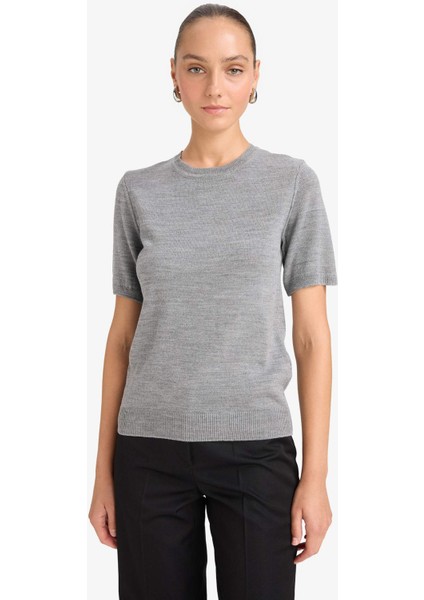 Regular Fit Bisiklet Yaka Kısa Kollu Triko Kazak E6810AX25AU