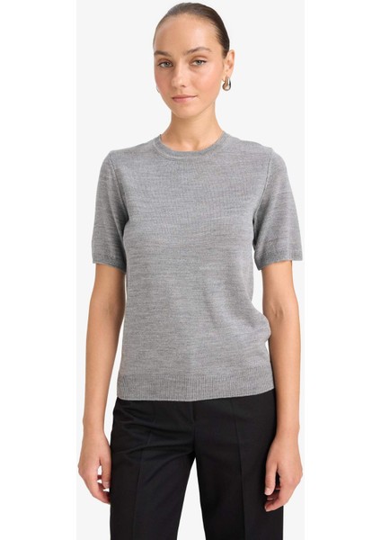 Regular Fit Bisiklet Yaka Kısa Kollu Triko Kazak E6810AX25AU