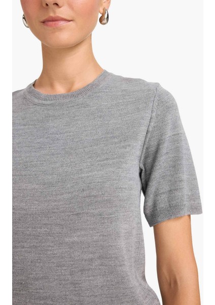 Regular Fit Bisiklet Yaka Kısa Kollu Triko Kazak E6810AX25AU