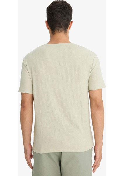 Regular Fit Bisiklet Yaka Dokulu Kısa Kollu Tişört F8480AX25AU