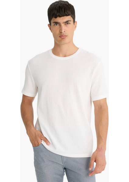 Regular Fit Bisiklet Yaka Dokulu Kısa Kollu Tişört