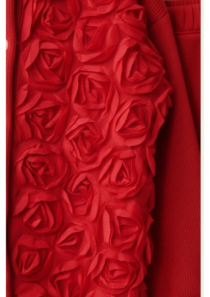 Kız Çocuk Tül Gül Aplikeli Triko Hırka Ikili Takım 3-10 Yaş 12299 fiyatları