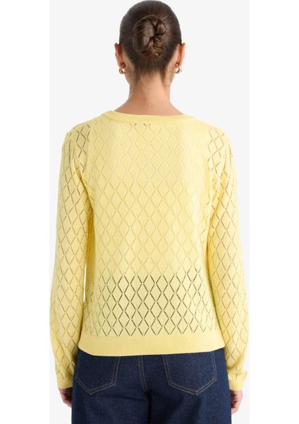 Regular Fit Bisiklet Yaka Ajurlu Düğmeli Triko Hırka G0191AX25AU