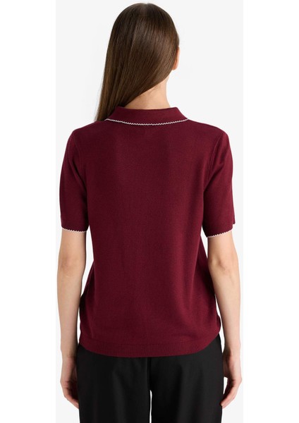 Regular Fit Polo Yaka Kısa Kollu Triko Kazak G0490AX25AU