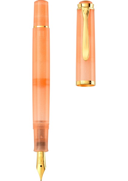 M200 Apricot Dolma Kalem fiyatları