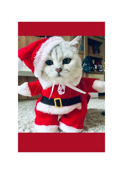 Şenlikli Noel Baba Köpek Kostüm Seti – Küçük Irklar Için Sıcak Polyester Tulum, Kazak Tasarım Evcil Hayvan Kıyafeti-L Beden modelleri