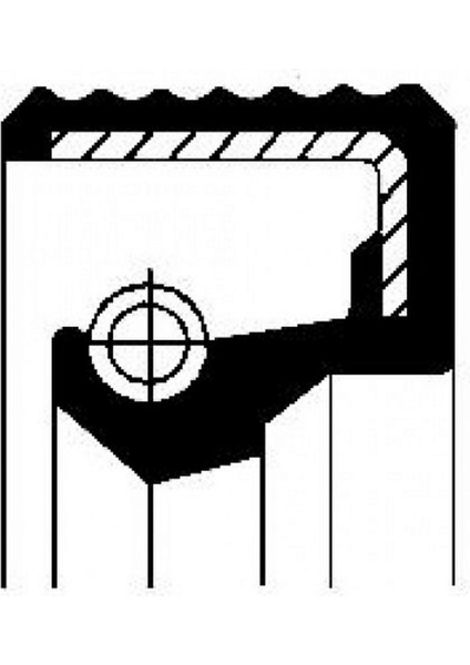 Mtxdpn Tespit Parcasi Transit 2006