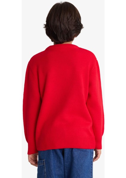 Erkek Çocuk Yılbaşı Temalı Bisiklet Yaka Triko Kazak F9237A825CW