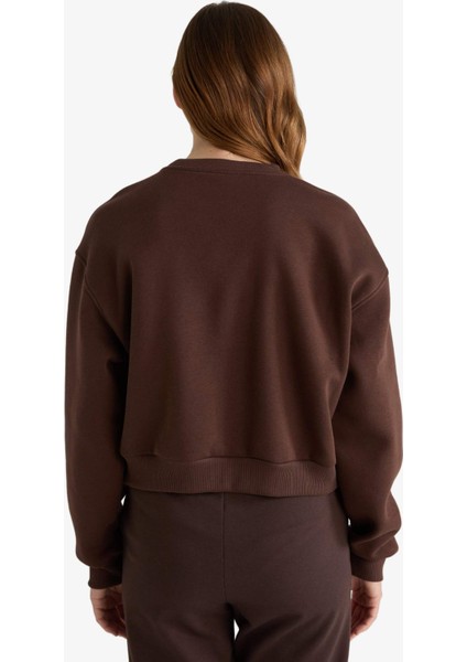 Boxy Fit Bisiklet Yaka İşlemeli Kalın Sweatshirt