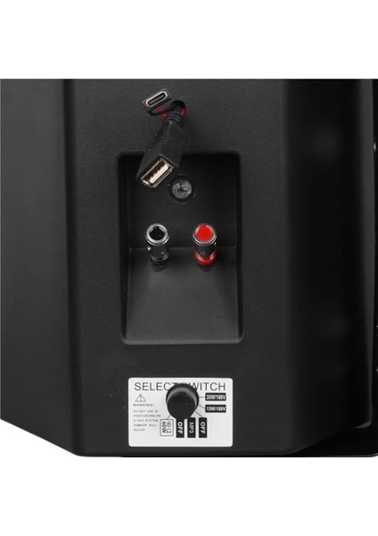 F-Lhy6.5s 6.5" (16 Cm) Hat Trafolu Duvar Tipi Sütun Hoparlör (30W Rms / 200W Peak - Mp3 USB Uyumlu) - Siyah fırsatları