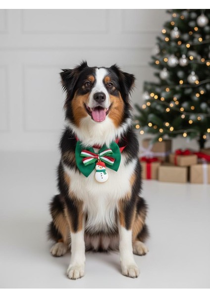 Kardan Adam Köpek Papyon Tasması | Yeşil Kırmızı Fiyonk Boyun Aksesuarı | Noel Temalı Köpek Süsü | Orta ve Büyük Irklar Için fırsatları