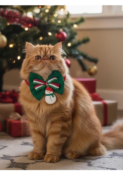 Kardan Adam Kedi Papyon Tasması | Yeşil Kırmızı Fiyonk Boyun Aksesuarı | Noel Temalı Kedi Süsü