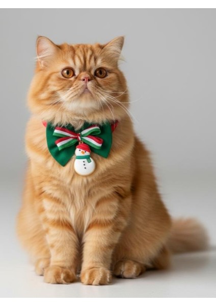 Kardan Adam Kedi Papyon Tasması | Yeşil Kırmızı Fiyonk Boyun Aksesuarı | Noel Temalı Kedi Süsü fırsatları