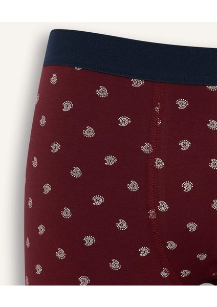 Regular Fit Şal Desenli 3'lü Boxer G2991AX25WN