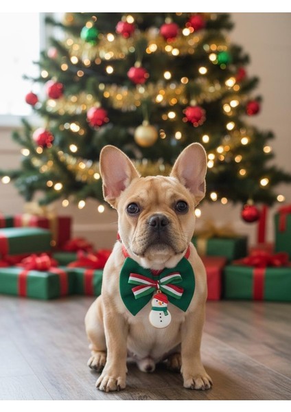 Kardan Adam Küçük Irk Köpek Papyon Tasması | Kırmızı Fiyonk Boyun Aksesuarı | Noel Temalı Köpek Süsü