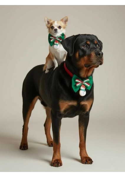 Kardan Adam Küçük Irk Köpek Papyon Tasması | Kırmızı Fiyonk Boyun Aksesuarı | Noel Temalı Köpek Süsü indirimleri