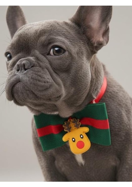 Royal Rudolph Premium Yılbaşı Köpek Papyonu | Limited Edition Luxe Aksesuar | Orta & Büyük Irklar Için fiyatları