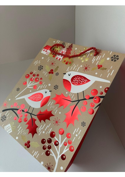 Yılbaşı Hediye Çantası | Orta Boy Parıltılı Kabartmalı Tekli Paket